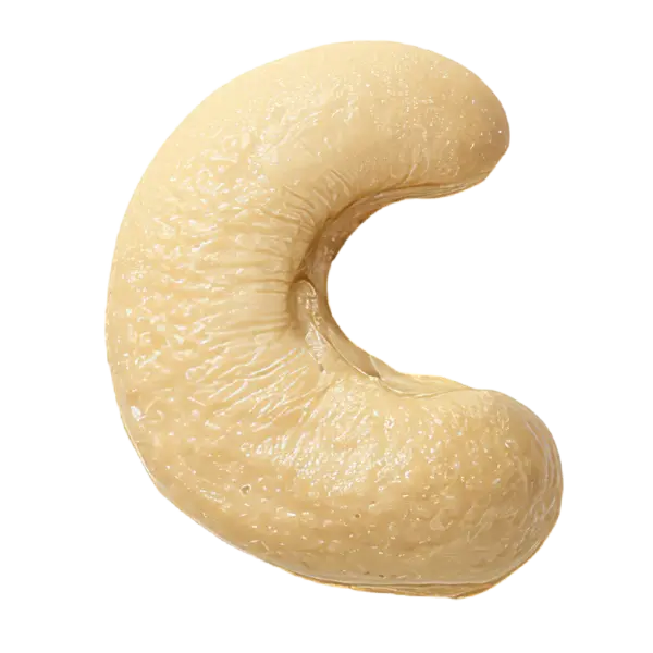 Sri Omkar Premium W320 Cashew Kernel